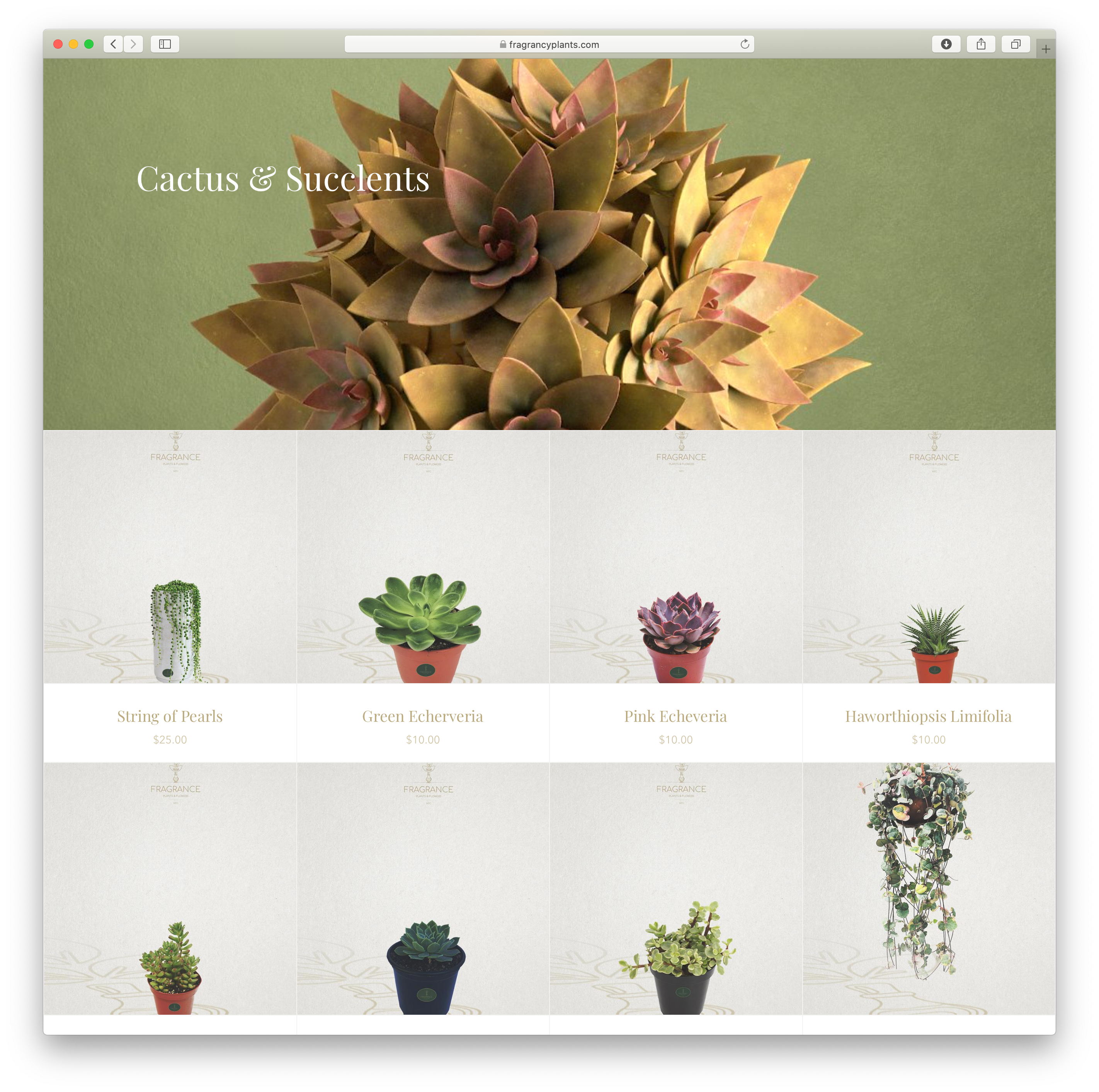 Fragrant Plants & Flowers
